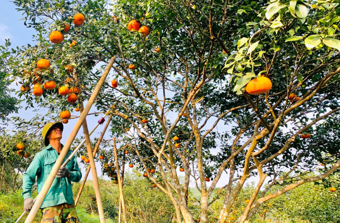Experience Ha Tinh Tours with sustainable adventures